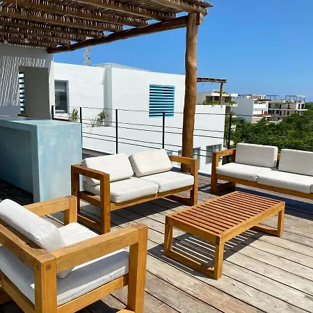Rosa Azul 4*