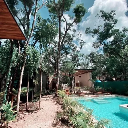 Invisible House - Jungle Studio