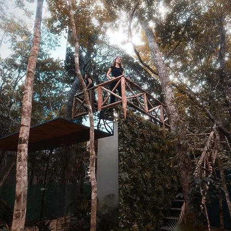 Invisible House - Jungle Studio Tulum