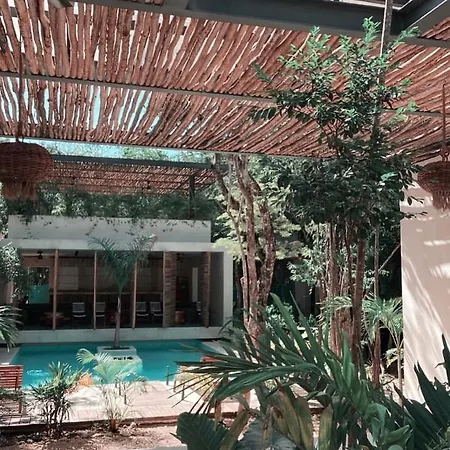Invisible House - Jungle Studio *