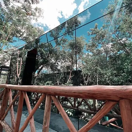 Invisible House - Jungle Studio Apartment