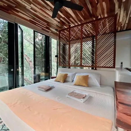 Invisible House - Jungle Studio Apartment