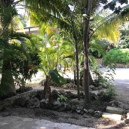 Veleta Hotel