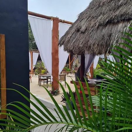 The - Food, Drinks And Transportation To The And Cenotes