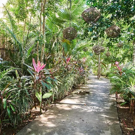 Luxurious In Luum Zama With Private Backyard & Pool, Restaurant, & Patio For Yoga