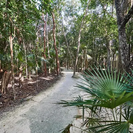 Luxurious In Luum Zama With Private Backyard & Pool, Restaurant, & Patio For Yoga * Tulum