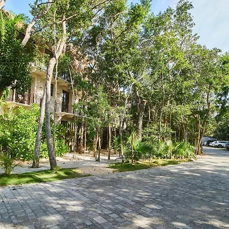 Luxurious In Luum Zama With Private Backyard & Pool, Restaurant, & Patio For Yoga Tulum