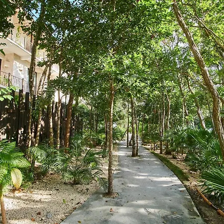 Luxurious In Luum Zama With Private Backyard & Pool, Restaurant, & Patio For Yoga Tulum