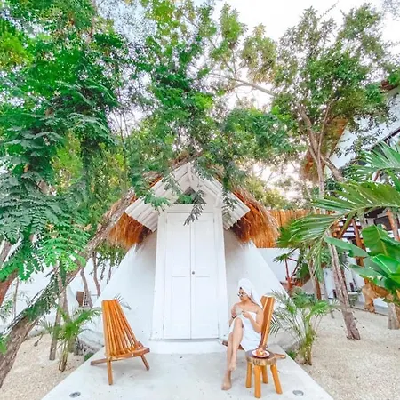 Mimosa Tulum