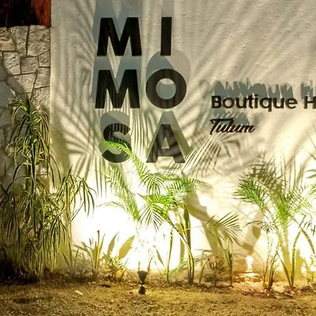 Mimosa Tulum