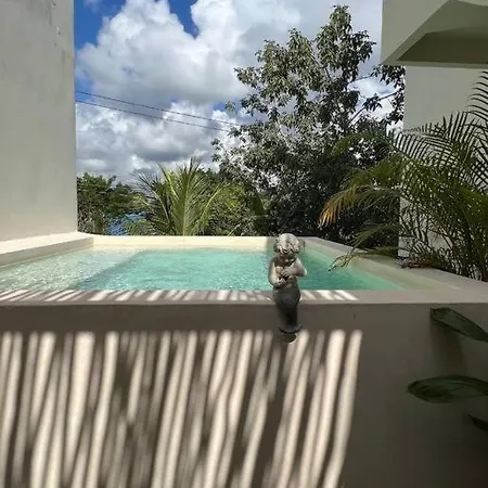 New 2level Ph W/pool! Apartment