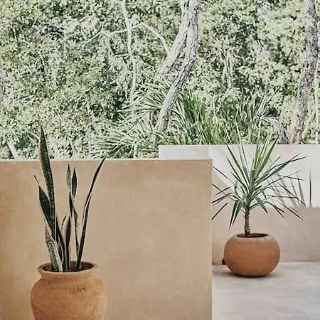Villa Casa Pacha Alma - Jungle