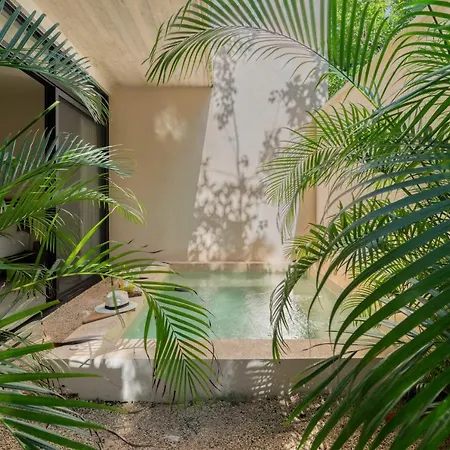 Boho 1bdr Plunge Pool Gym 100 Mbps Wifi * Tulum