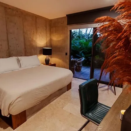 4br Dream Private Cenote Large Gym - Xalet Xn101 4br *