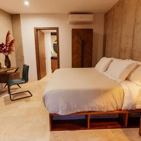 4br Dream Private Cenote Large Gym - Xalet Xn101 4br Apartment *