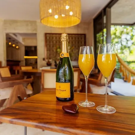 4br Dream Private Cenote Large Gym - Xalet Xn101 4br Apartment