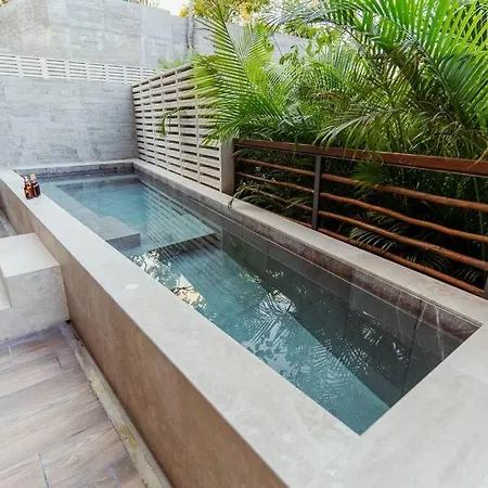 Apartment 4br Dream Private Cenote Large Gym - Xalet Xn101 4br *