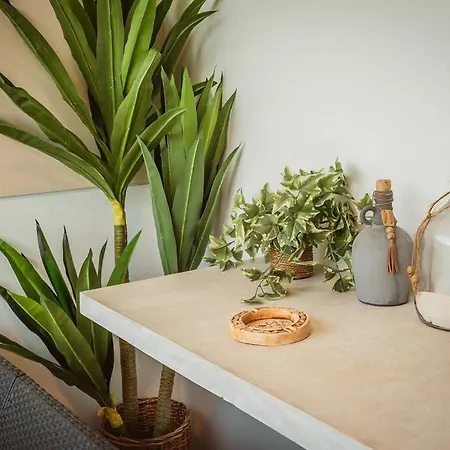 Apartment 3br Magical Penthouse With Private Rooftop Pool Quiet - Palalma Casa 39 *