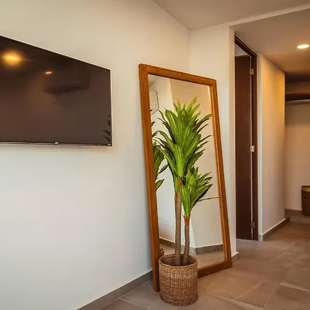 3br Magical Penthouse With Private Rooftop Pool Quiet - Palalma Casa 39 Apartment *