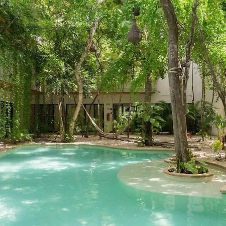 Holiday home Boho 1bdr Plunge Pool Gym 100 Mbps Wifi *