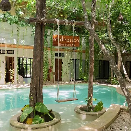 Boho 1bdr Plunge Pool Gym 100 Mbps Wifi