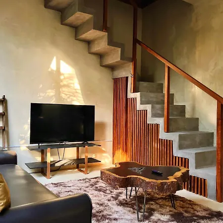 Hotel Pacha Boutique