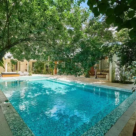 Apartment Carmela 101 Comfy&cozy 2br With Location