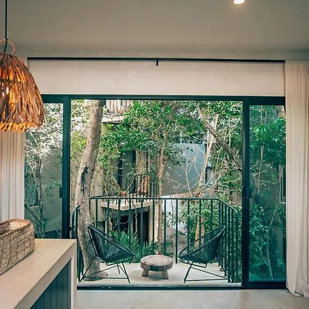 Vida Jungle 7 With Special Fee To Access Bardo Apartment