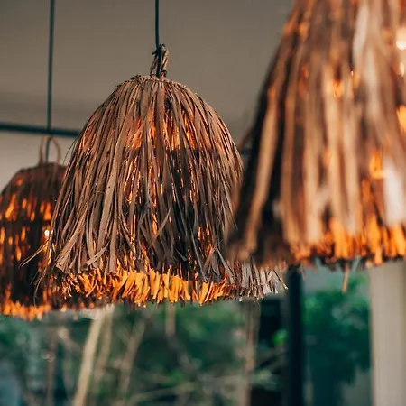 Vida Jungle 7 With Special Fee To Access Bardo * Tulum
