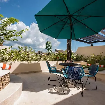 Casa Cactus! Private Jacuzzi And Rooftop +gym+business Center+ Wifi! *