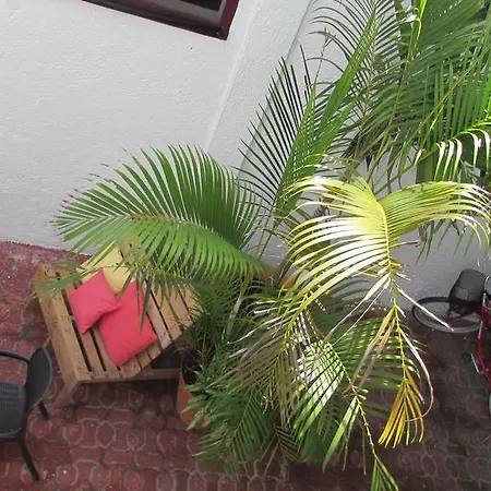Hotel Verasol Tulum
