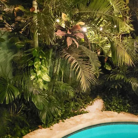 The Secret Garden Apartment Tulum