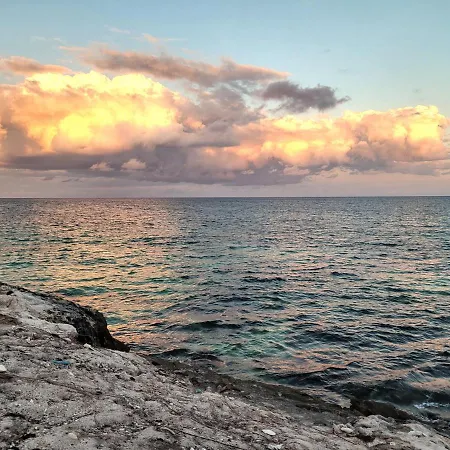 The Secret Garden Tulum