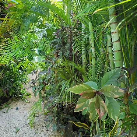 The Secret Garden Apartment Tulum