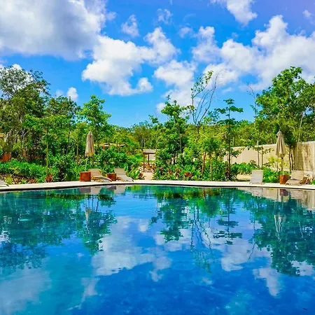 Selva Norte Cacao 204 - Studio Holiday home *