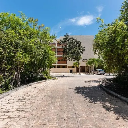 Casa Cactus! Private Jacuzzi And Rooftop +gym+business Center+ Wifi! * Tulum