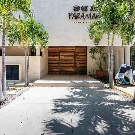 Casa Cactus! Private Jacuzzi And Rooftop +gym+business Center+ Wifi! * Tulum