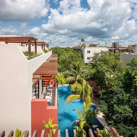 Casa Cactus! Private Jacuzzi And Rooftop +gym+business Center+ Wifi! Tulum