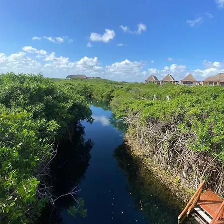 - Aldea Mangle & Cenote Lodge *