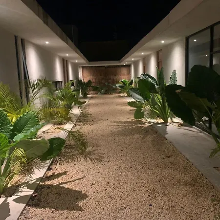 Pacha En Tulum