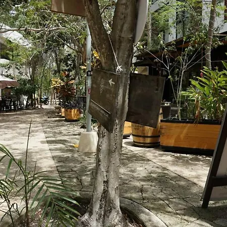 Viva 3br Modern And Luxury Plunge Pool * Tulum