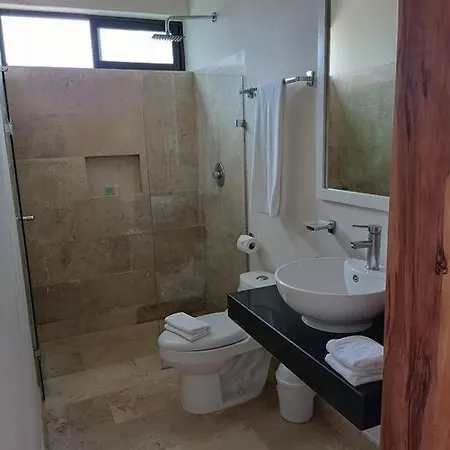 Viva 3br Modern And Luxury Plunge Pool