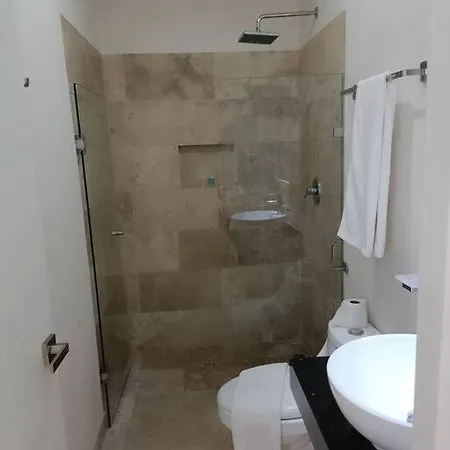 Viva 3br Modern And Luxury Plunge Pool Apartment