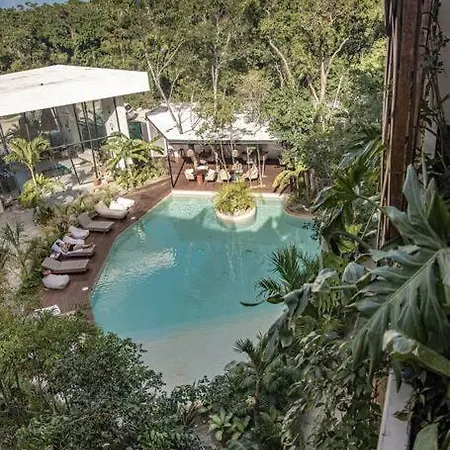Dk Jade 30 By Sandy Powerful * Tulum