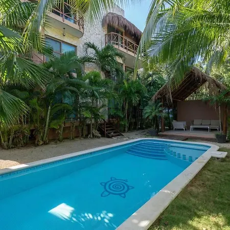 Apartment Cozy 2br In With Pool Near The Beach