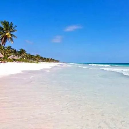 Apartment Cozy 2br In With Pool Near The Beach