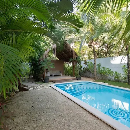 Apartment Cozy 2br In With Pool Near The Beach