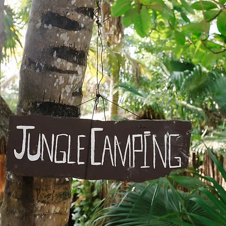Campsite Turquesa Jungle Camping Tulum