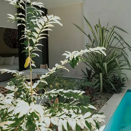 8 Bed Luxury W/ Private Pool, And Sauna!