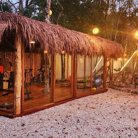 Kin Jungle Deluxe Guest house